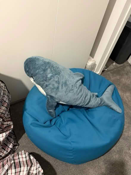 Photo of free Shark (Gilesgate) #1