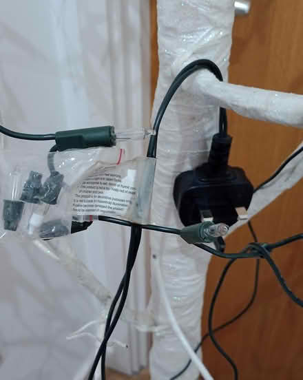 Photo of free Tall indoor white ornamental tree (Market Place Kendal LA9) #4