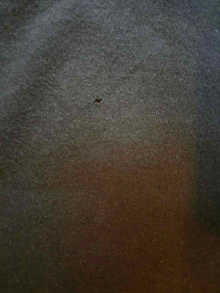 Photo of free 9 - 11yrs T-shirt (Lightwood ST3) #3