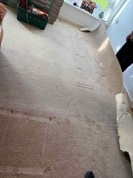 Photo of free Carpet (Gateacre L25) #1
