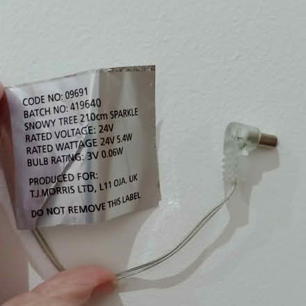 Photo of free Tall indoor white ornamental tree (Market Place Kendal LA9) #3