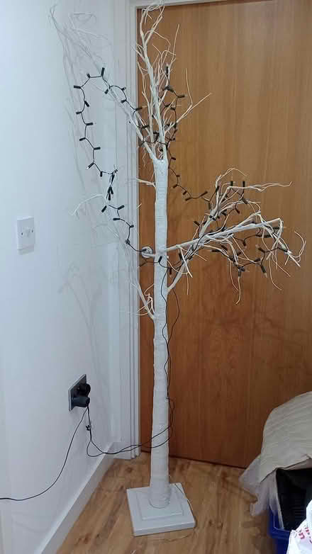 Photo of free Tall indoor white ornamental tree (Market Place Kendal LA9) #2