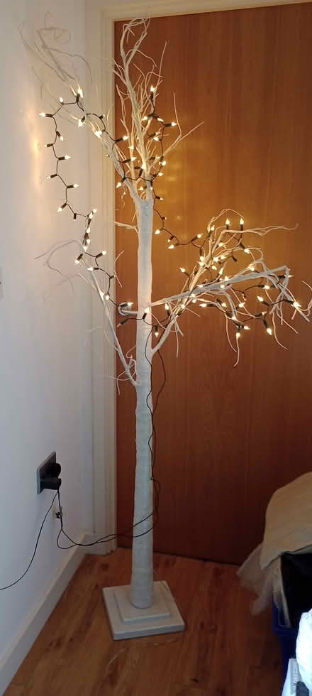 Photo of free Tall indoor white ornamental tree (Market Place Kendal LA9) #1