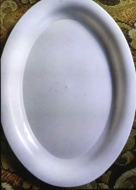 Photo of free Big white plastic platTe (Storrington RH20) #1