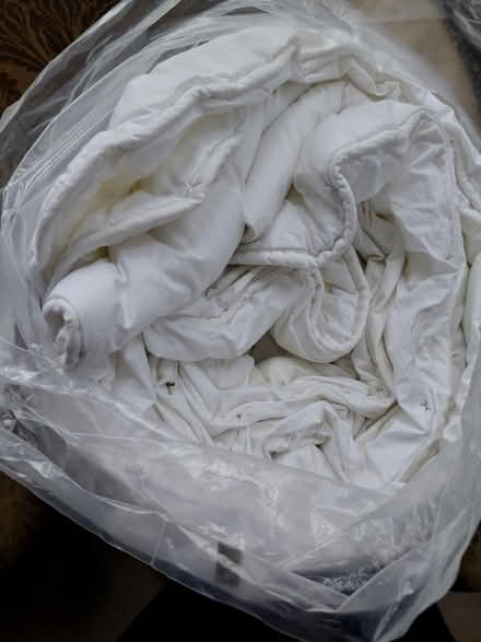 Photo of free Duvet Super king 9 tog New Malden (New Malden KT3) #3