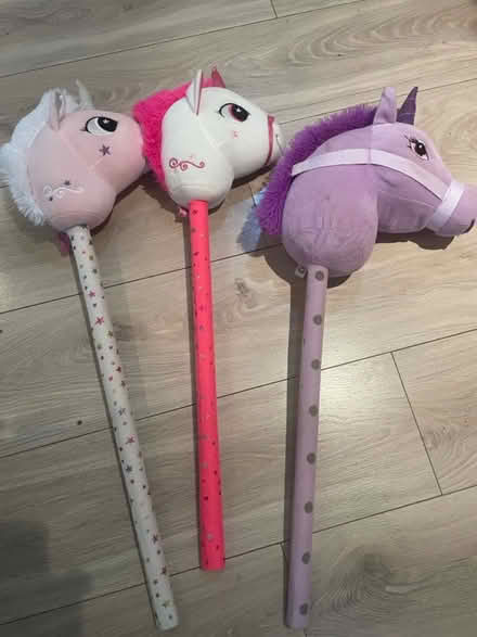 Photo of free Hobby horse (High Wycombe HP13) #1