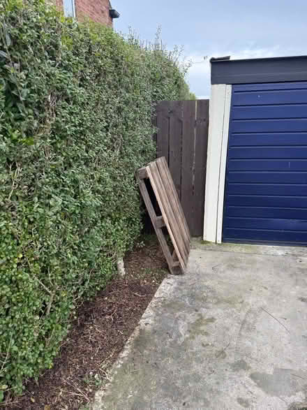 Photo of free wooden pallet (Nafferton YO25) #3