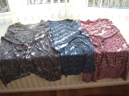 Photo of free 3 tunic style ladies tops size 22 (Durrington BN13) #1