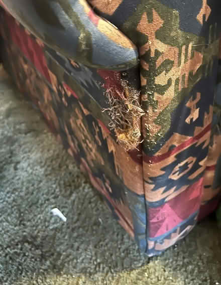 Photo of free Two Seater Sofa (Denton DA12) #2