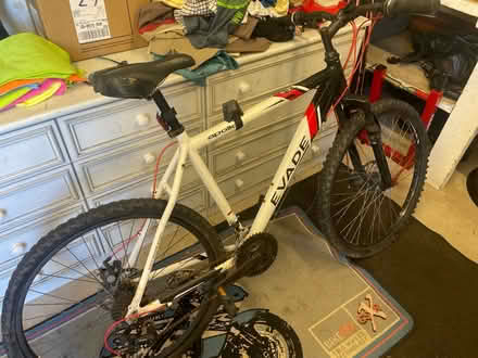 Photo of free Mountain bike needs TLC (Lancing BN15) #1