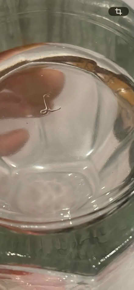 Photo of free Two 16 oz Iced Tea Glasses (Malden Center) #3