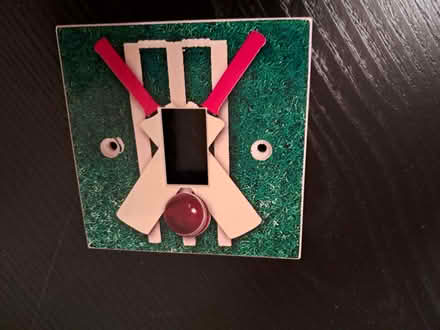 Photo of free Cricket themed light switch plate (Lower Earley RG6) #1