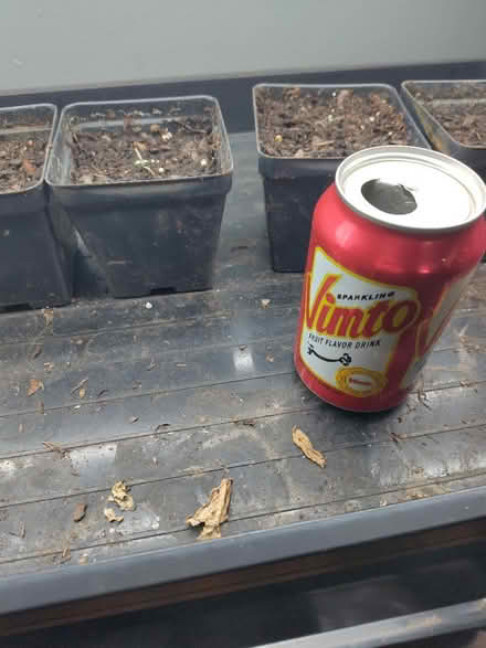 Photo of Small pots (southwest raleigh) #1