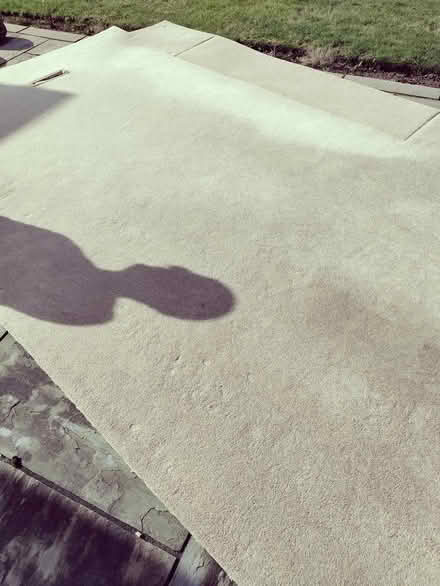 Photo of free Carpet with underlay (Deerpark, Ledbury) #2
