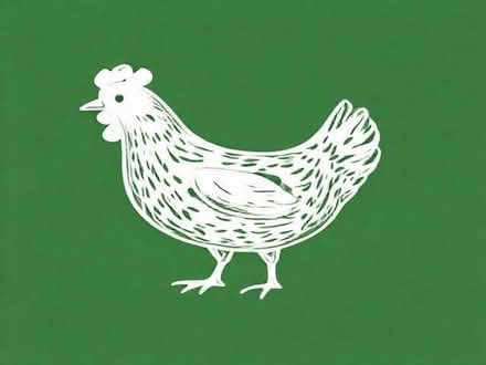 Photo of Chicken wire offcuts (Carlyon Bay PL25) #1