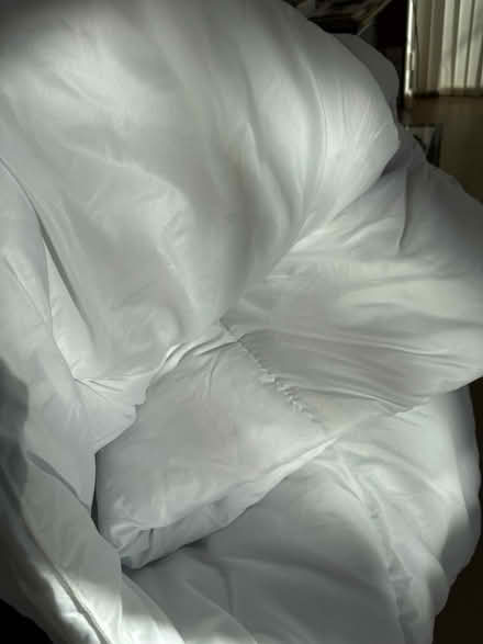 Photo of free Single Duvet & protector (Harborne B17) #4