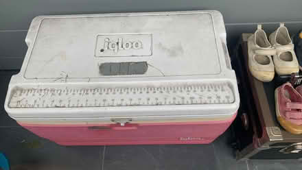 Photo of free Igloo Cooler (Oakland) #1