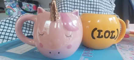 Photo of free 2 novelty cups (Lower Weston) #3