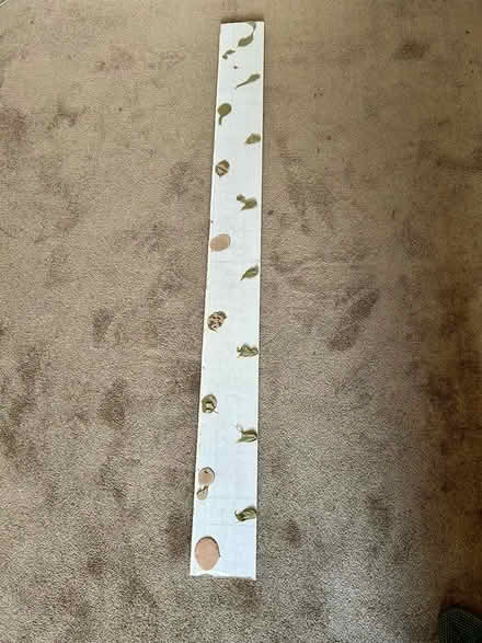 Photo of free Skirting board (South Acton, W4) #2