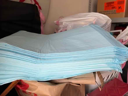 Photo of free Incontinent bed pads (30) (Montrose) #2