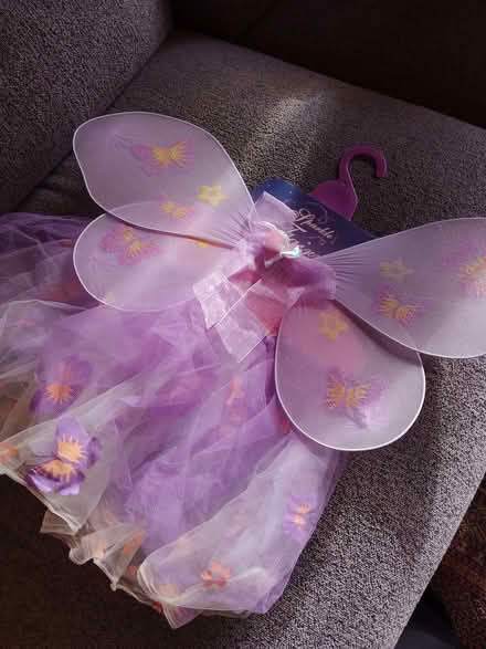 Photo of free Fairy skirt and wings (Great Cornard CO10) #1