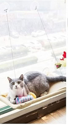 Photo of free Cat Hammock Window Perch (Midtown East) #2