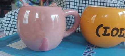 Photo of free 2 novelty cups (Lower Weston) #2