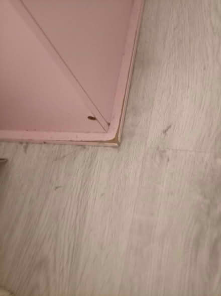 Photo of free Pink toy box and extras (Tudeley) #4