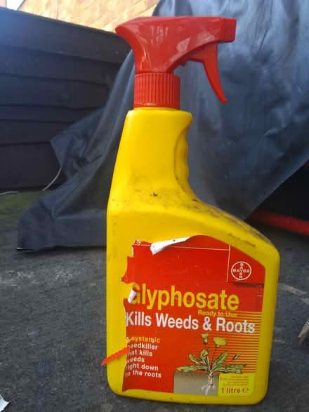 Photo of free Garden Spray (Leighton buzzard LU7) #1