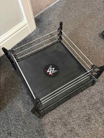 Photo of free WWE ring (Katherines CM19) #1
