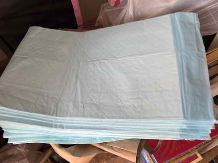 Photo of free Incontinent bed pads (30) (Montrose) #1