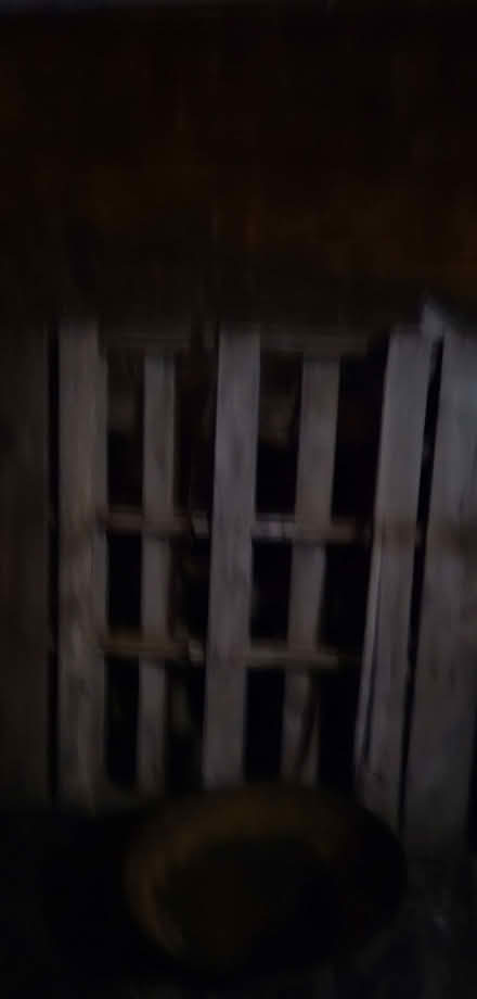 Photo of free Pallets (Chaddesden DE21) #4