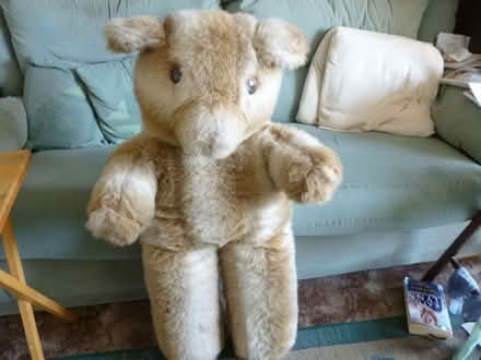 Photo of free 3ft Teddy Bear (GU46) #2