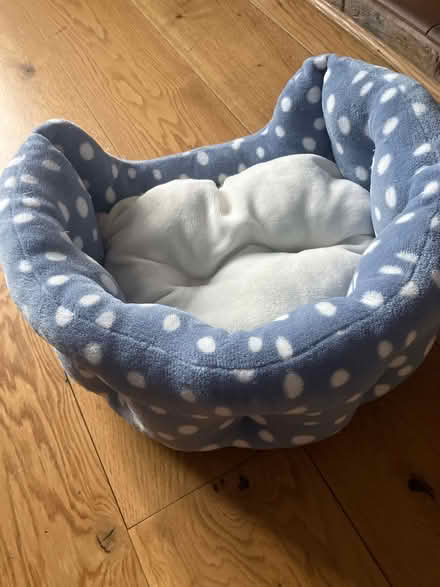 Photo of free Pet bed (Prittlewell SS2) #2