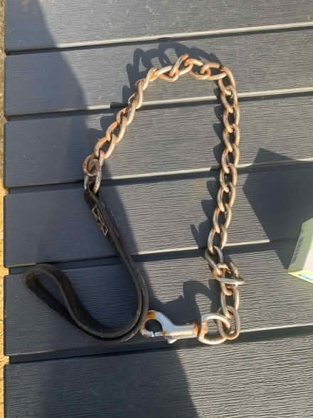 Photo of free Dog lead dog collar (Ringwood BH24) #1