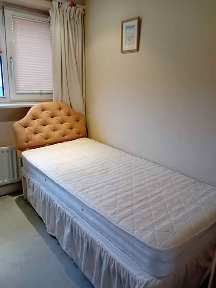 Photo of free Comfortable single bed with mattress! (Roffey RH13) #1