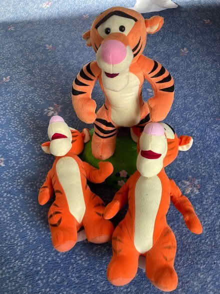 Photo of free Tiggers (Bradford BD2) #1