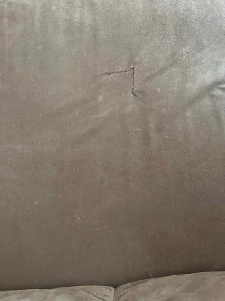 Photo of free Brown couch (Oxford) #4