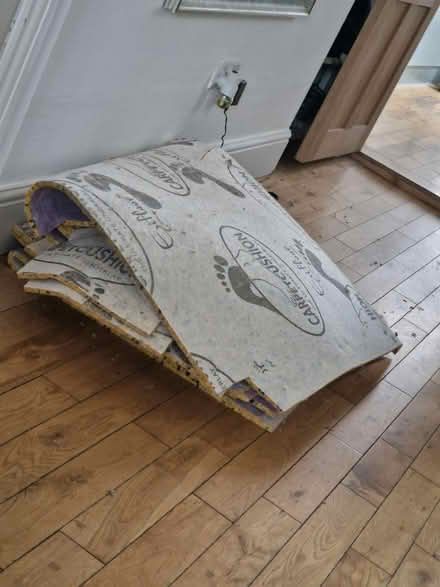 Photo of free Underlay pieces (WF43BD) #1