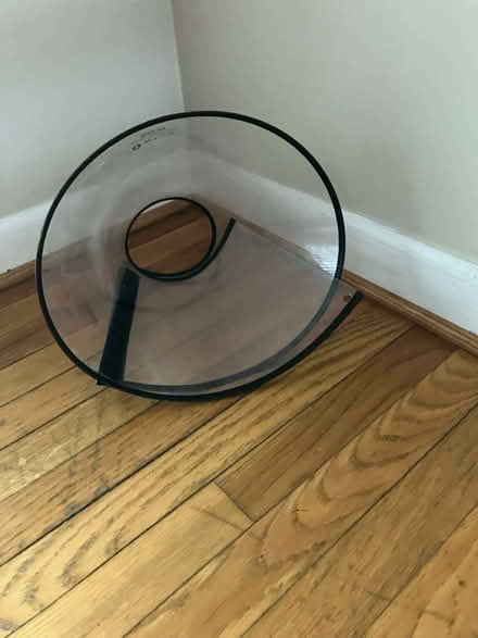 Photo of free Size 23 Vet Cone for Dogs (Southwest Waterfront) #1