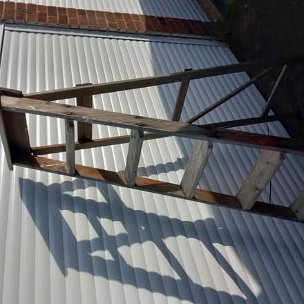Photo of free Ladder (shepperton) #1