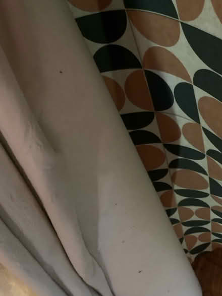 Photo of free Large offcut of vinyl flooring (Lifford, kings Norton B30) #2