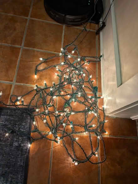 Photo of free lights and garland (Old Ottawa south) #1