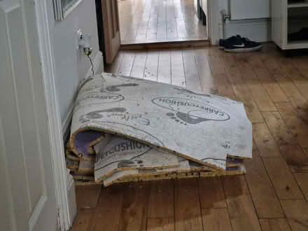Photo of free Underlay pieces (WF43BD) #2