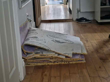Photo of free Underlay pieces (WF43BD) #3