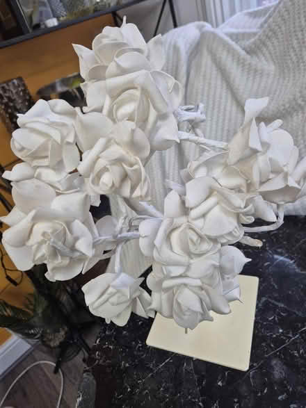 Photo of free Flower decoration (W1h 1ju) #2