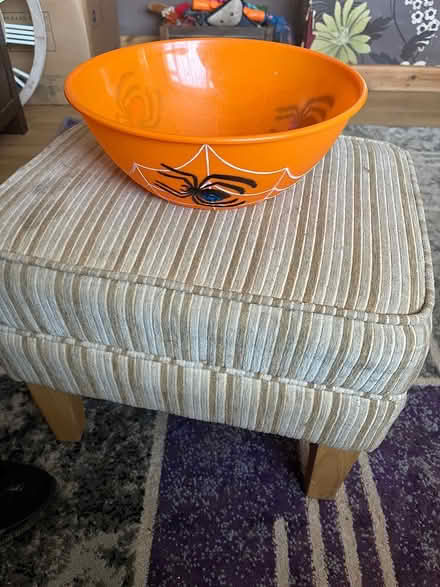 Photo of free Spider bowl/ plate (Ipswich IP2) #2