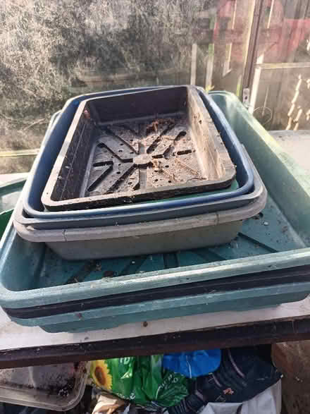 Photo of free Plastic trays (St Nicholas SG1) #2