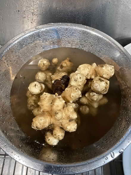 Photo of free Jerusalem artichoke tubers (Arcadia nr Baldwin-Stocker Sch) #2