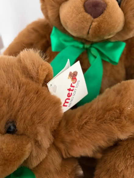 Photo of free Teddy Bears (Hampden Park BN22) #2